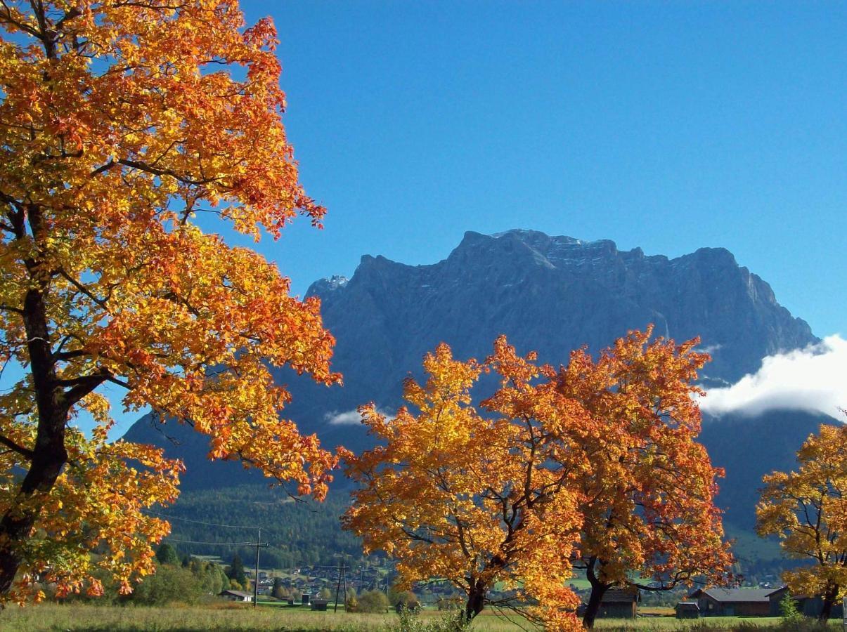 Chalet Danninger Ehrwald Zewnętrze zdjęcie