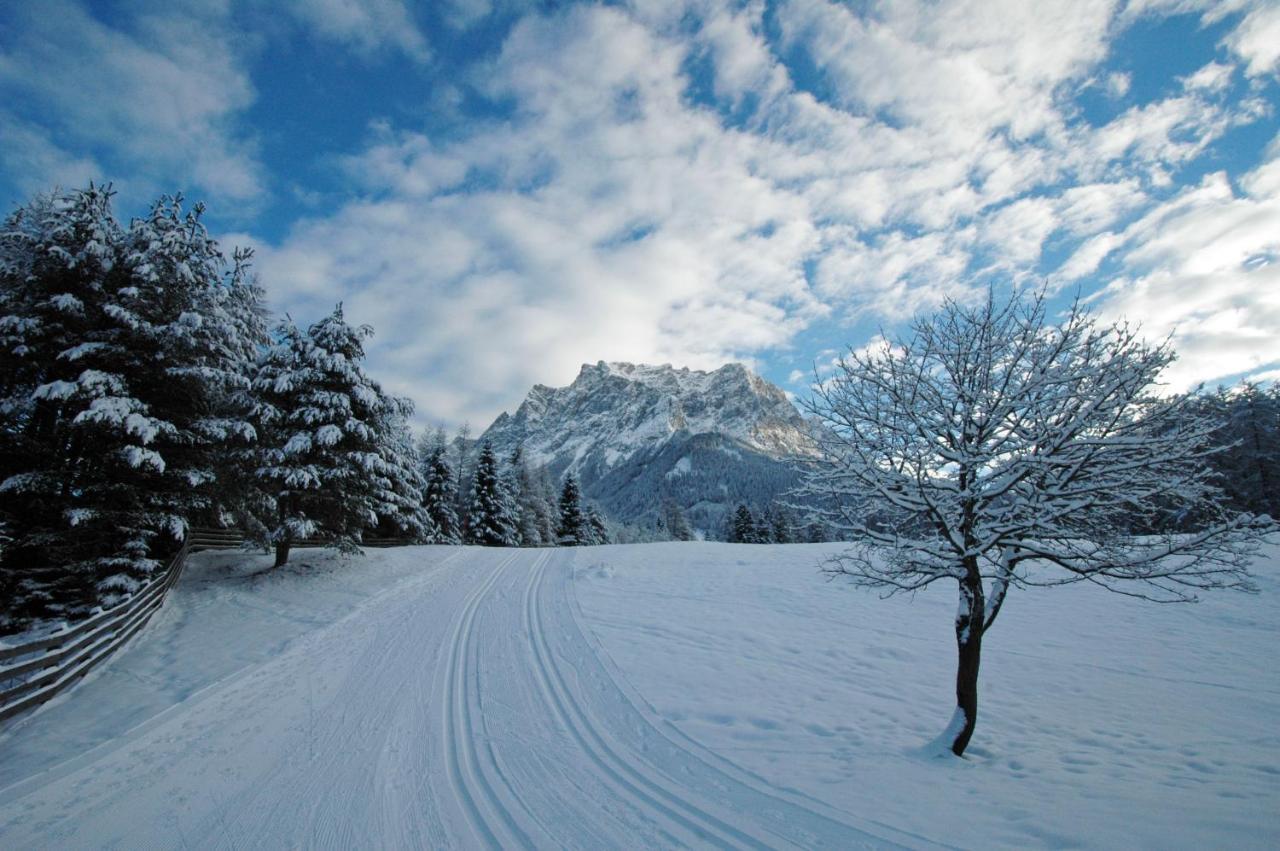 Chalet Danninger Ehrwald Zewnętrze zdjęcie